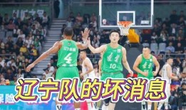 杨鸣回归最新爆料消息,揭秘幕后故事与未来展望